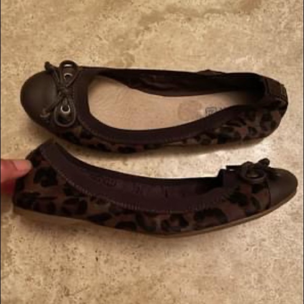 NEW Sperry ballet shoe